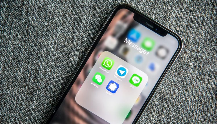 Apa Saja Sih Manfaat Daun Ginseng dan Cara Mengolahnya?