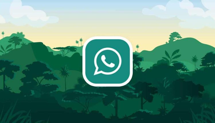 Download Whatsapp Gb Heymods, Terbaru dan Penjelasan Pengembangnya